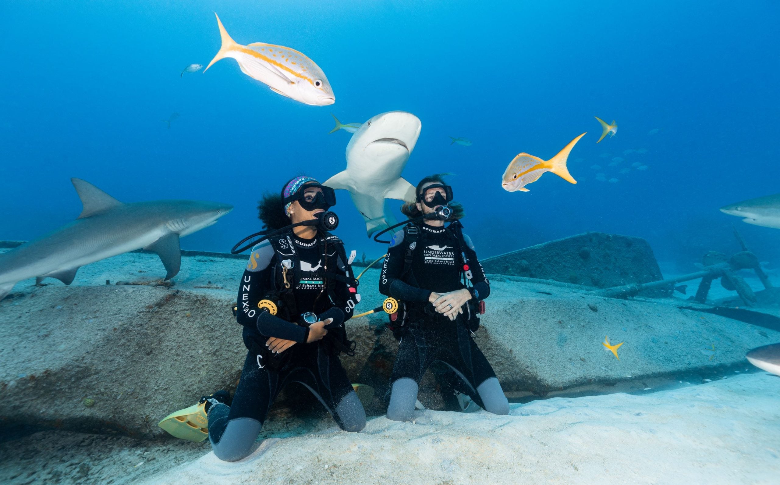 Things to Do at Grand Bahama Island, Bahamas