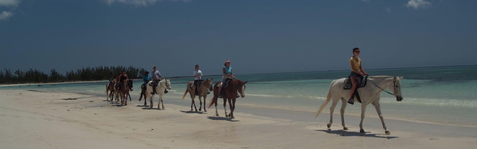 Grand Bahamas Horseback Riding