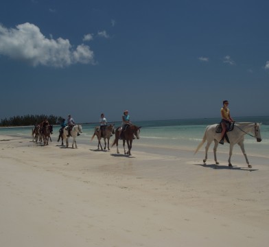 Grand Bahamas Horseback Riding