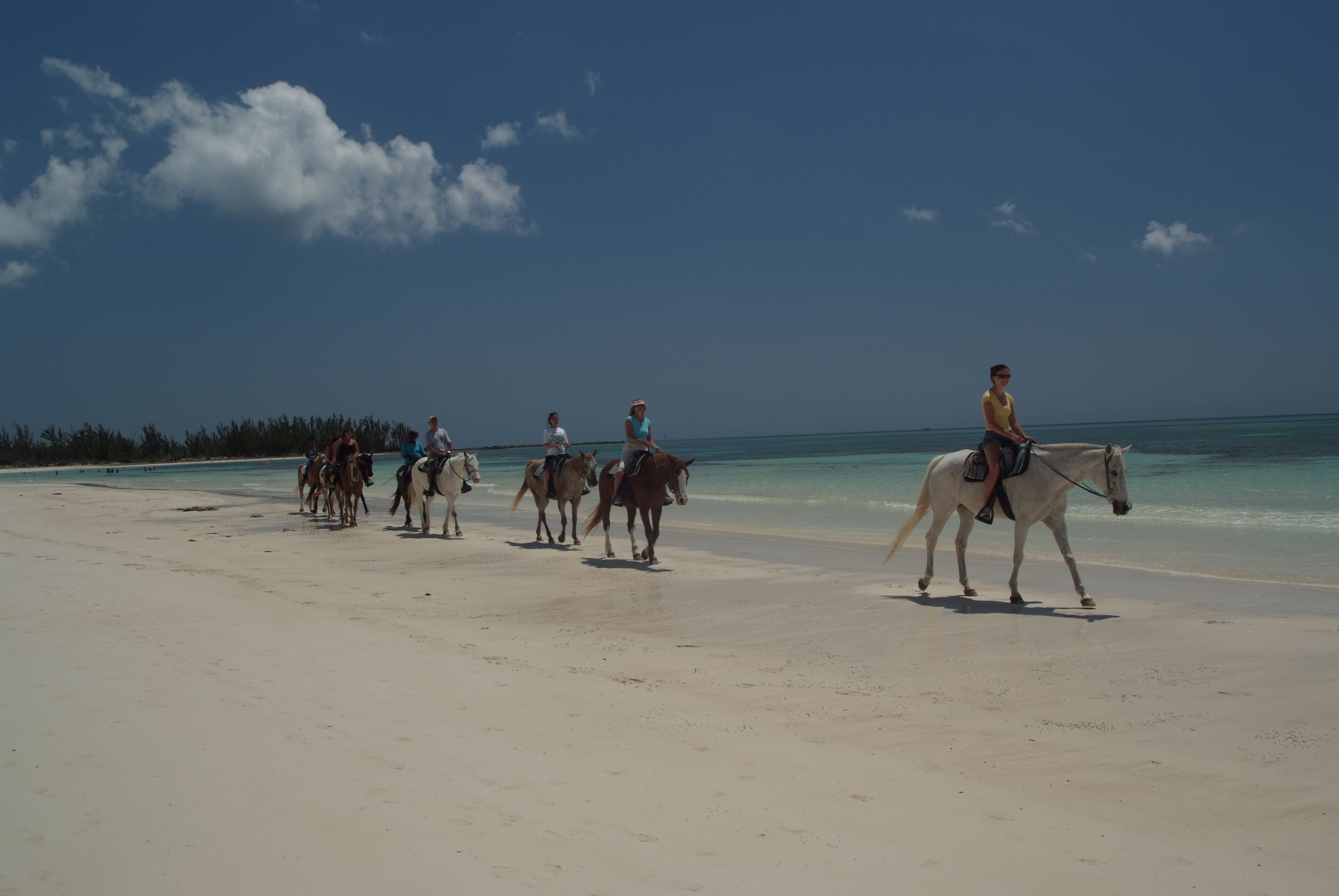 Horseback Riding Grand Bahama Island Vacations