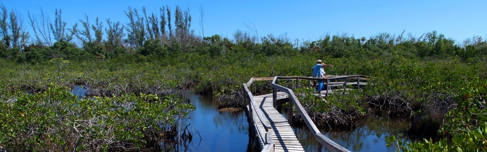 Grand Bahamas National Parks