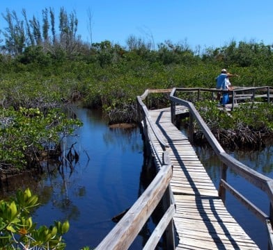 Grand Bahamas National Parks