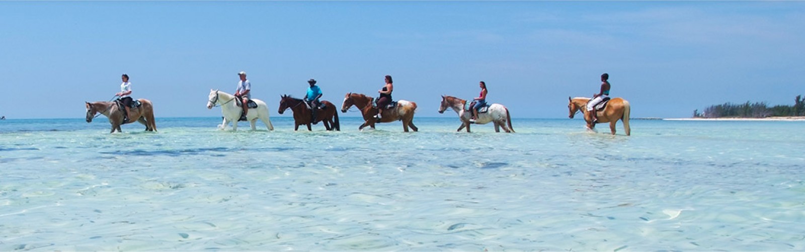 Horses trotting through the water