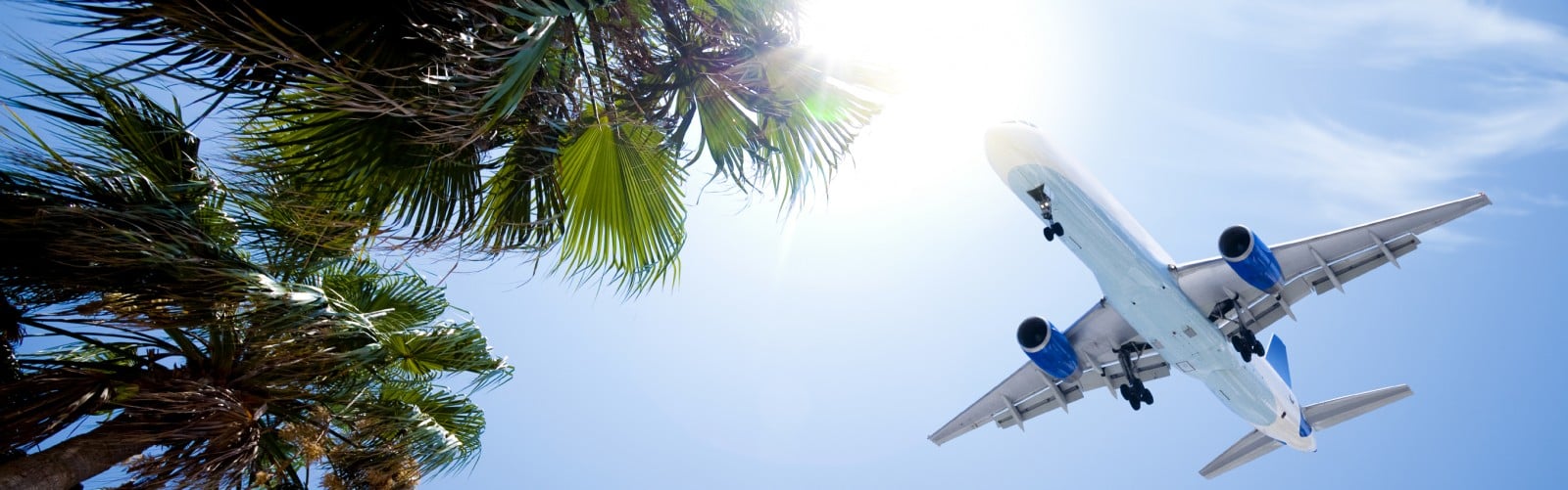 Airliner passing over tropic palm trees