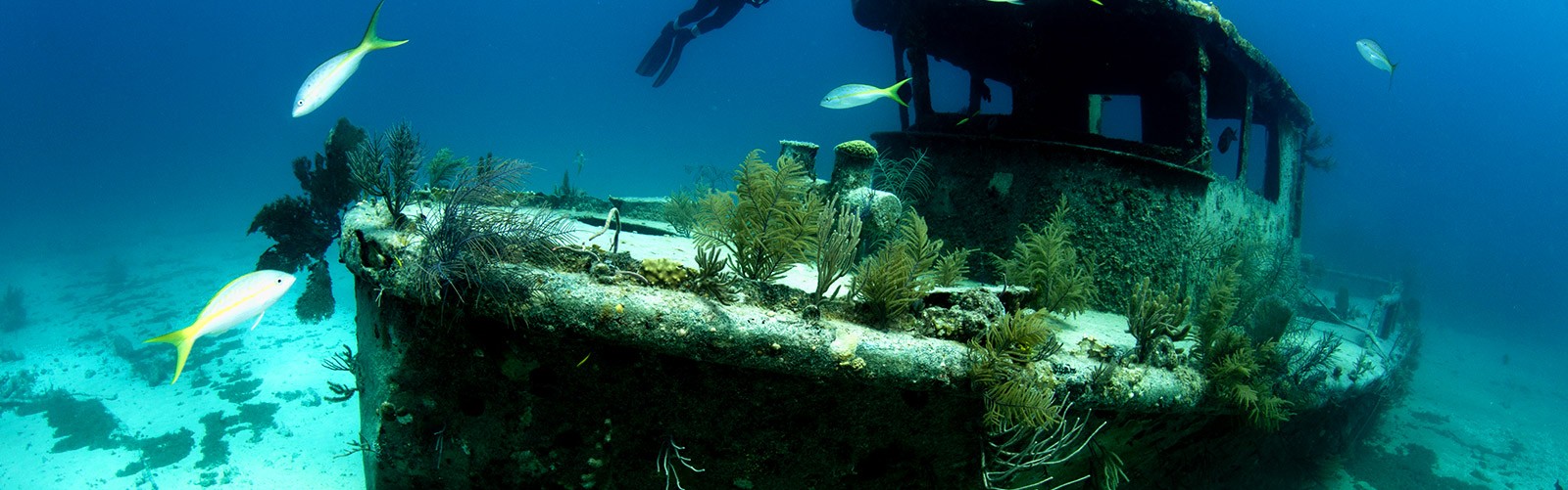 Sunken ship with divers on Grand Bahama Island